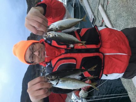 昨日より今日こそ！！アジ釣り！！